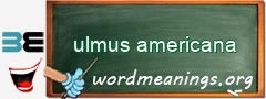 WordMeaning blackboard for ulmus americana